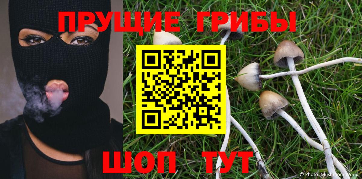 Ливны  Галлюциногенные грибы Magic Shrooms  Вход с VPN 
