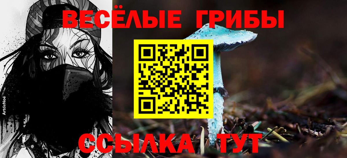 Псилоцибиновые грибы мицелий Ливны